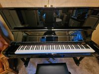 Verkaufe absolut neuwertiges Steinways&Sons Klavier K-132 Baden-Württemberg - Heidelberg Vorschau