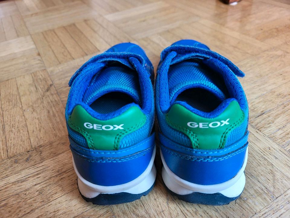 Geox Schuhe Gr.31 blau in Neu Wulmstorf