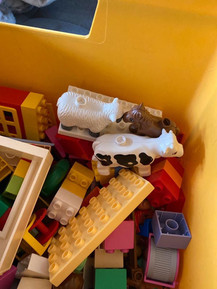 Lego Duplo Konvult in Aßlar