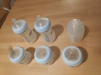 Philips Avent SCD290/01 Naturnah Neugeborenen-Set Flaschen Sachsen - Chemnitz Vorschau