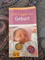 300 Fragen zur Geburt - Der große GU Kompass Frankfurt am Main - Ostend Vorschau