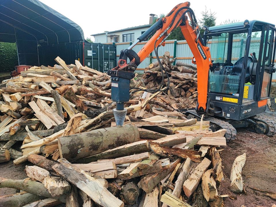 Bestes Brennholz Kaminholz Lärche Kiefer Buche Hartholz Nadelholz in Emden (bei Haldensleben)