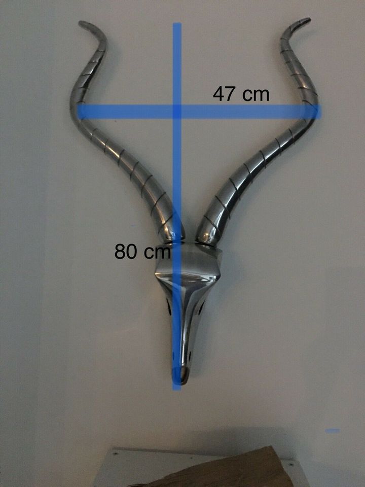 XXL Antilope Hirsch Geweih Dekohirsch Dekogeweih massiv in Nittendorf 