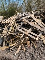 Palettenholz, Holz zum verbrennen, Bauwagen Bayern - Genderkingen Vorschau