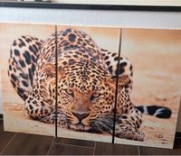 Triptychon Leopard Leinwand Druck Kr. München - Aying Vorschau