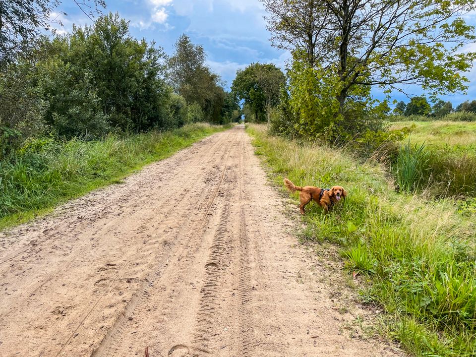 Naturidylle am Ewigen Meer: Traumhaftes Haus mit Weitblick und 1 Hektar Weidefläche in Westerholt