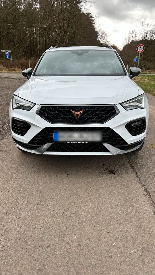 Cupra Ateca in Homburg