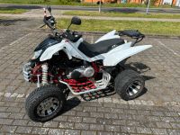 Quad ATV Triton Baja Access Brandenburg - Königs Wusterhausen Vorschau