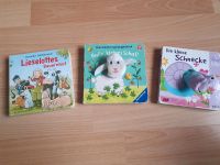 3 süsse Babybücher Baden-Württemberg - Ottersweier Vorschau