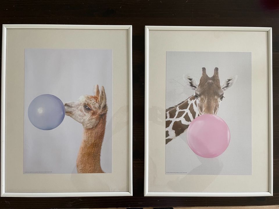 Bilder Kinderzimmer gerahmt Ikea 30x40 Giraffe Lama in Düsseldorf