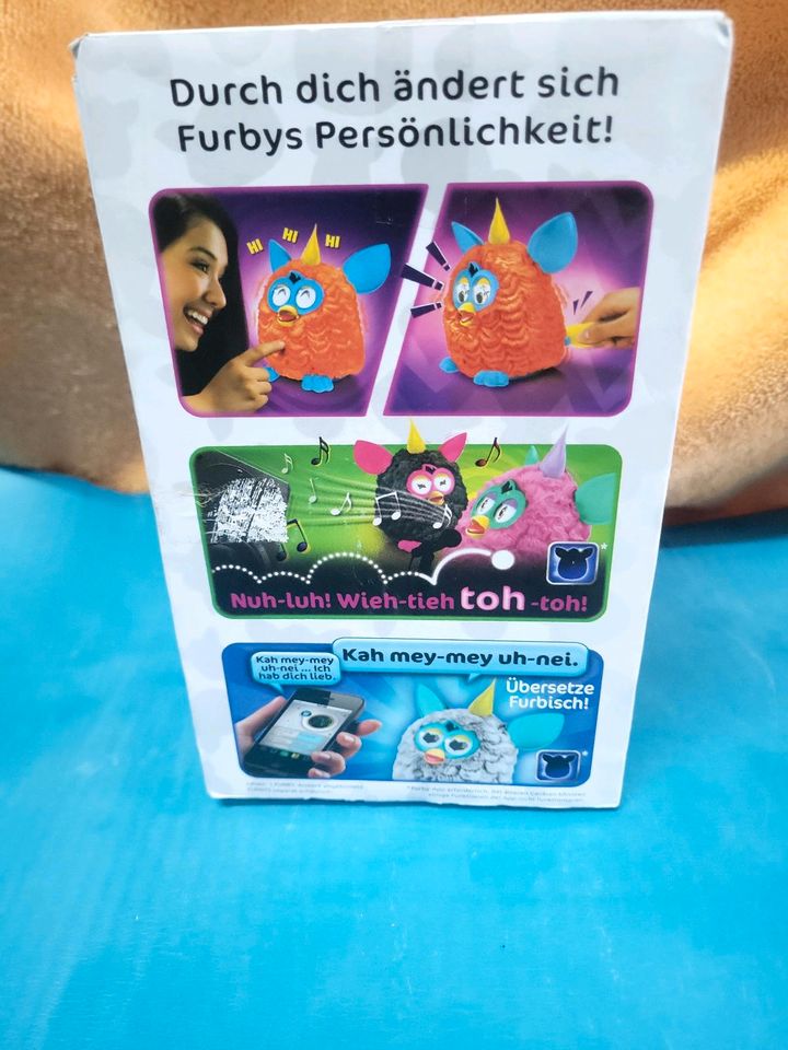 Hasbro Furby in Willingshausen