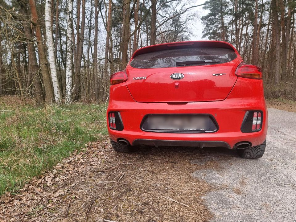 KIA Ceed GT TÜV bis Februar 2025 in Lutherstadt Wittenberg