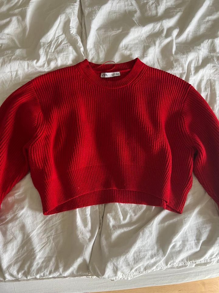 Roter Pullover Zara Gr. L in Darmstadt