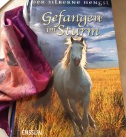 Gefangen im Sturm, mit einem Stoffcover, ehemals Pony club Saarland - Neunkirchen Vorschau