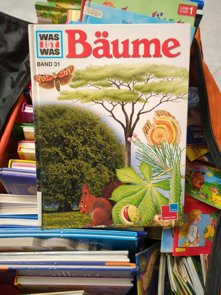 Kinder Büchersammlung inkl Reisetasche in Hamburg