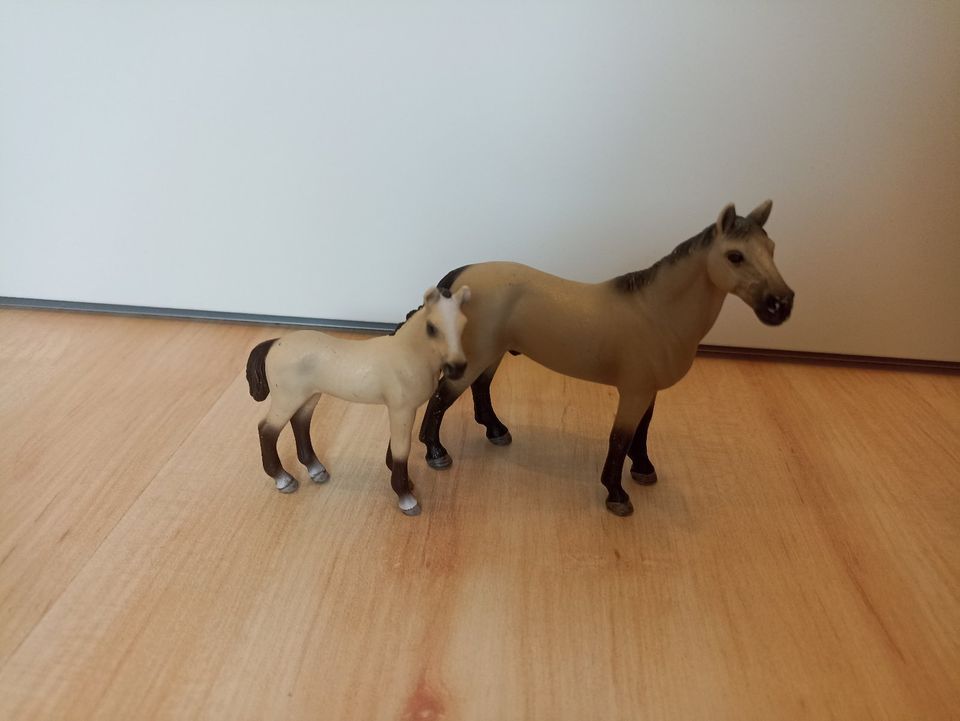 Schleich Pferd Achal Tekkiner 13690, 13702 in Nürnberg (Mittelfr)