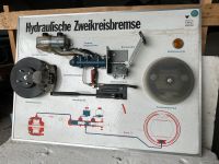 Fahrschulmodel Hydraulische Zweikreisbremse Bayern - Stein Vorschau