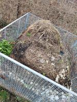 Wachtelmist Kompost Garten Dünger Bio Mist Sachsen - Hohndorf Vorschau