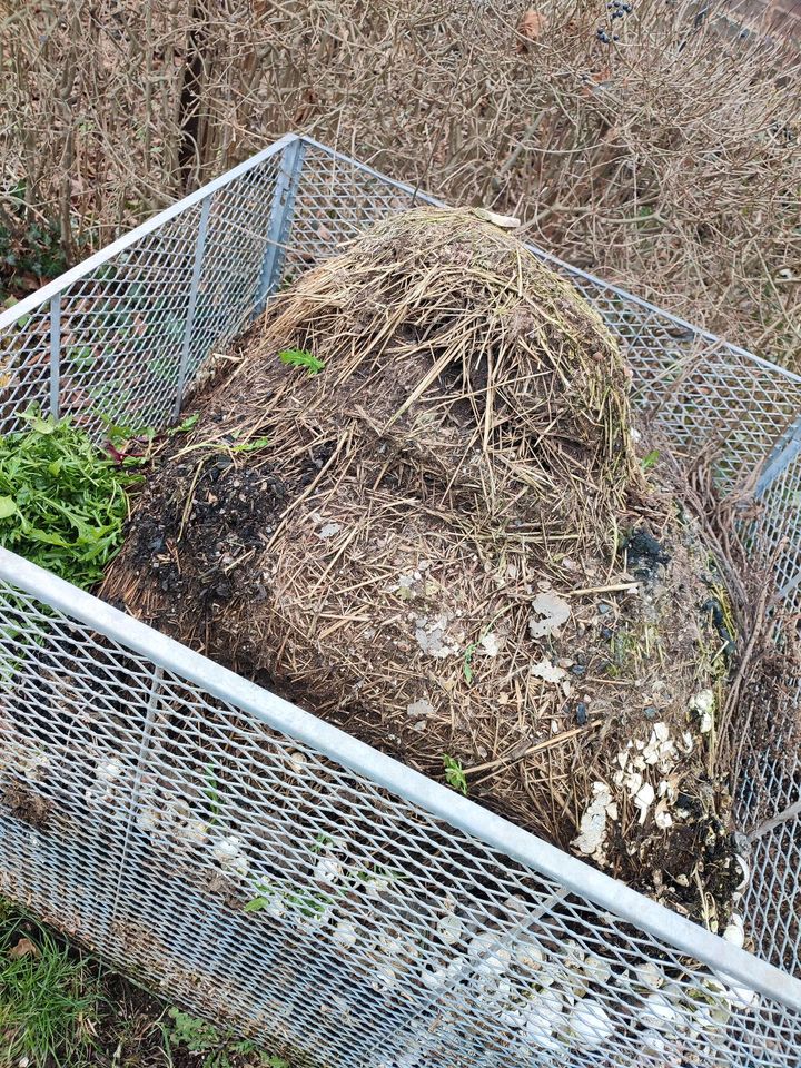 Wachtelmist Kompost Garten Dünger Bio Mist in Hohndorf