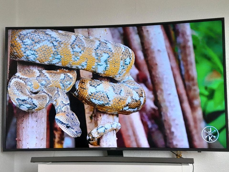 Samsung Smart Tv 55 Zoll 4K UHD Curved UE55JU7590T One Connect Bo in Berlin