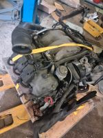 Mercedes ML W163 320 Motor Nordrhein-Westfalen - Kempen Vorschau