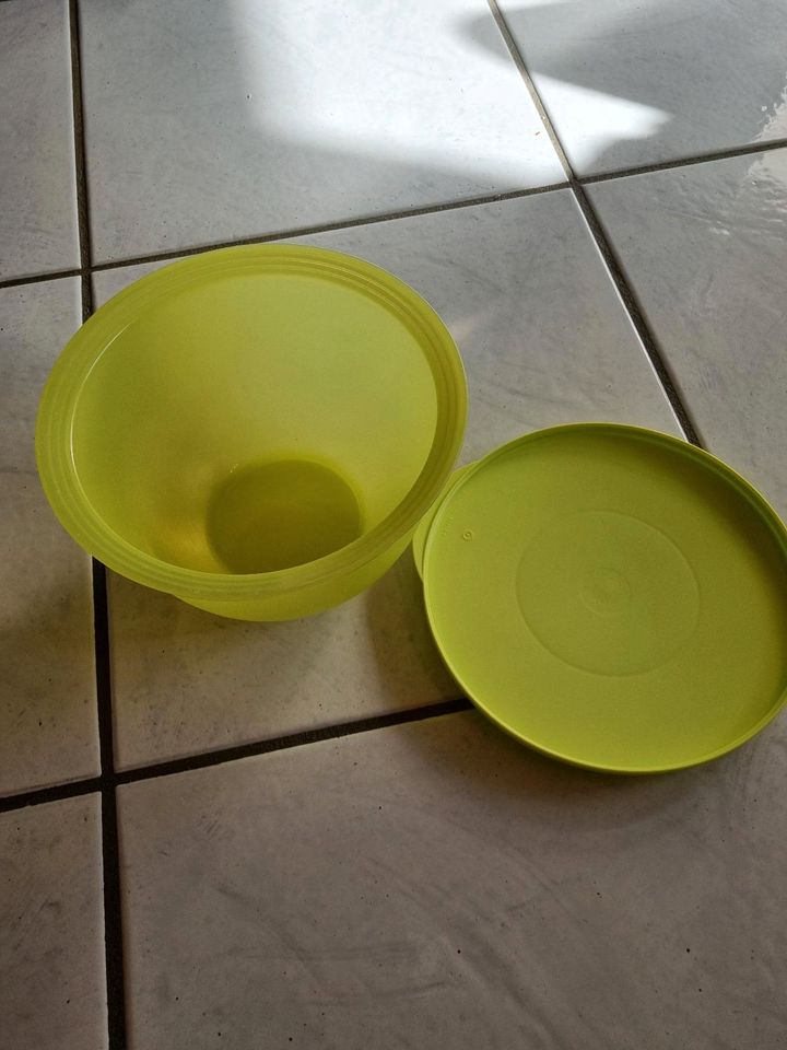 Tupperware Junge Welle Schüssel grün 1,3 L in Schweinfurt