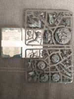 Warhammer Underworlds Warcry Blackpowder's Buccaneers Rheinland-Pfalz - Bitburg Vorschau