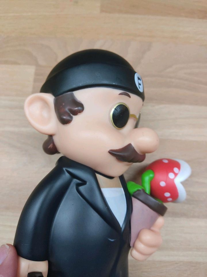 Leon der Profi Mario Design in Baesweiler