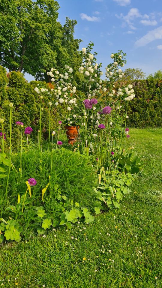 Hilfe bei der Gartenarbeit in Düren