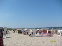 70m zum Strand, Balkon, WLAN,Fahrräder Mecklenburg-Vorpommern - Trassenheide Vorschau