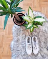 Reebok Schuhe Nordrhein-Westfalen - Herdecke Vorschau