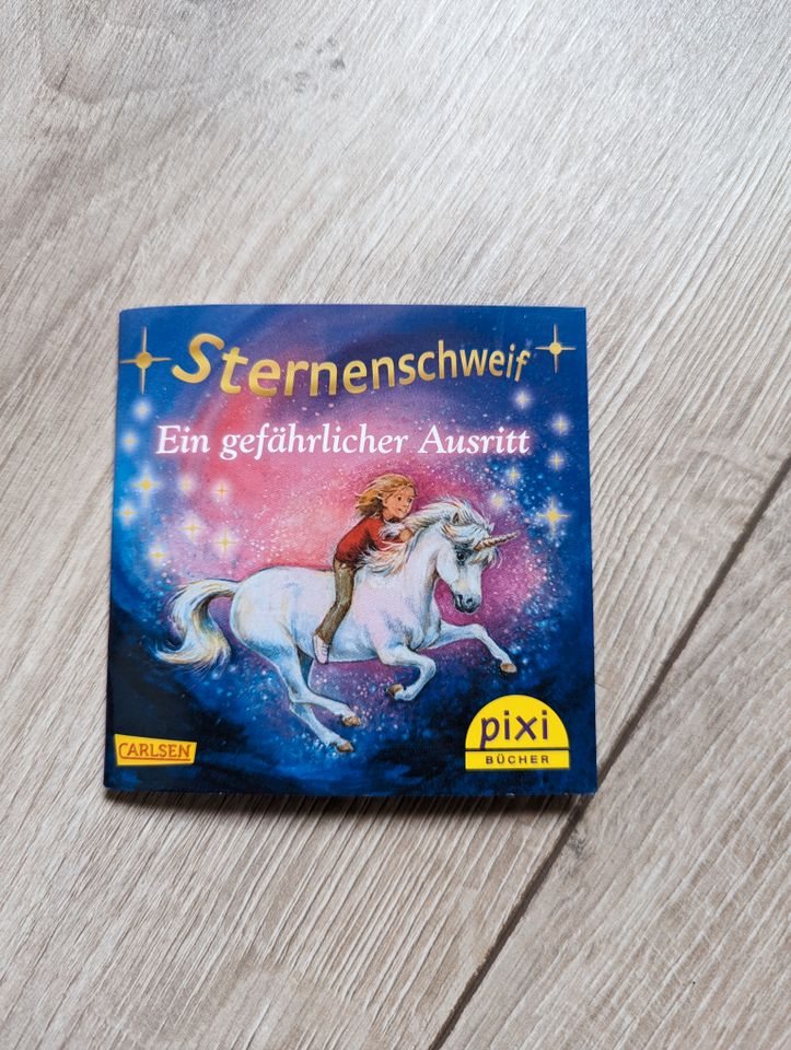 Pixi Buch Bücher Maxi Buch verschiedene in Weitramsdorf