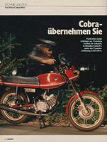 Suche Puch Cobra 50/80 Baden-Württemberg - Schelklingen Vorschau