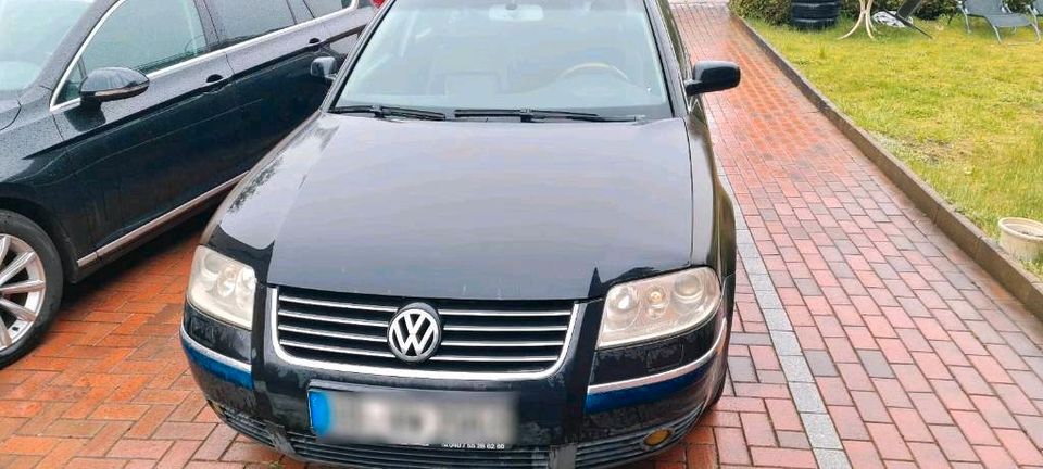 VW Passat 3bg in Oststeinbek