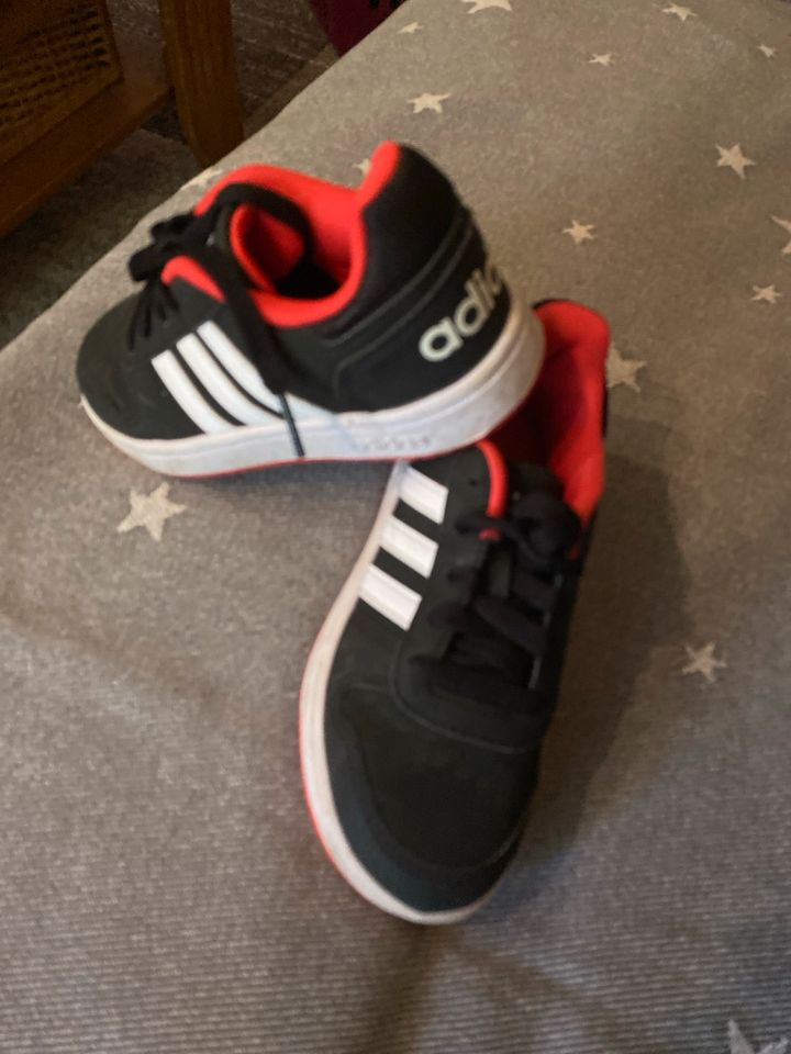 Adidas Schuhe in Bergisch Gladbach