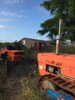 2x UTB Raupe SV 445 Oldtimer Kettenschlepper Weinbergschlepper Sachsen-Anhalt - Weferlingen Vorschau