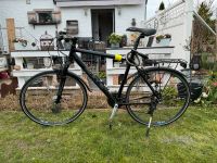 Fahrrad 28“ Herren Bulls Nordrhein-Westfalen - Porta Westfalica Vorschau