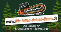 Baumfällung Baumpflege Baumschnitt ☎️ Baumfällteam Sachsen Anhalt Gerbstedt - Friedeburg Vorschau