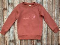 Luftabong Bio Sweatshirt Pulliver Gr. 110/116-WIE NEU! Nordrhein-Westfalen - Solingen Vorschau