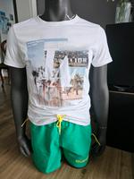 Herren T-shirts große L von Diverse Hessen - Darmstadt Vorschau