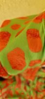 Bluse ,  Orange Grün , Neu Niedersachsen - Munster Vorschau
