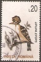 Rumänien 4878 ° Fauna Tiere - Vögel – Wiedehopf - Eurasian Hopoe Nordrhein-Westfalen - Kamen Vorschau