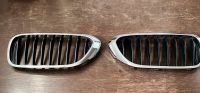 BMW 5er G30 Kühler Grill Niere original Niedersachsen - Bückeburg Vorschau