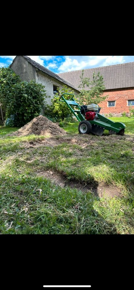 Baumstumpf entfernen/Fräsen in Lutherstadt Wittenberg