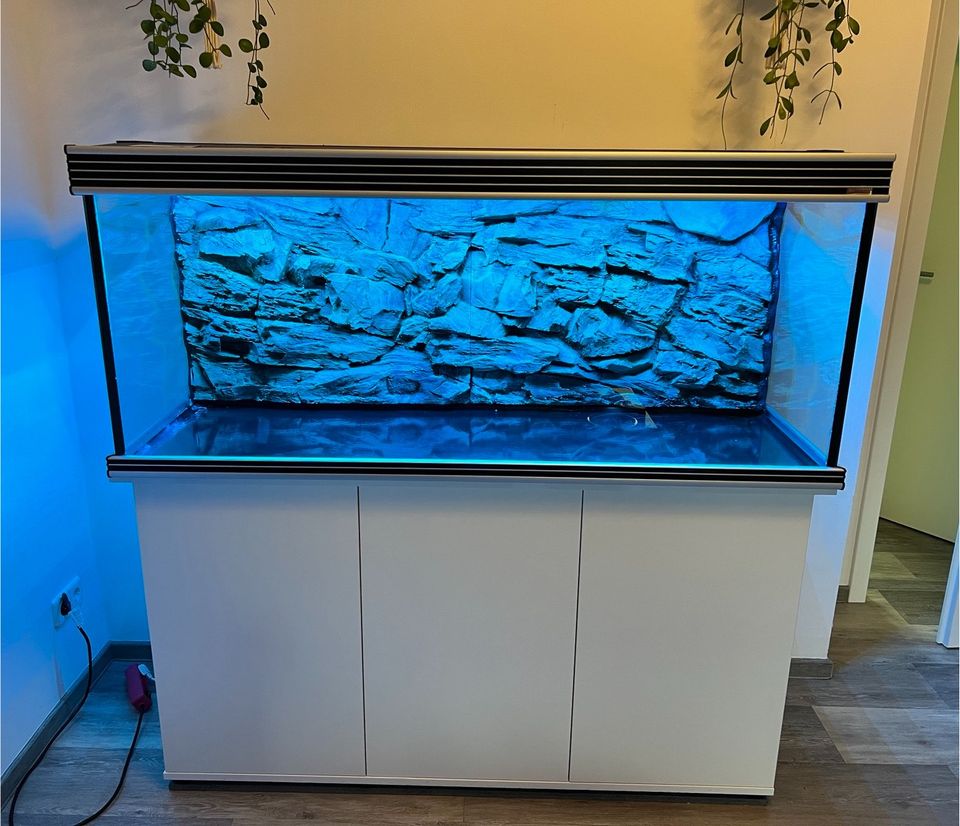 Komplett 450l Aquarium +Massen Zubehör //Helialux Spectrum in Zwickau