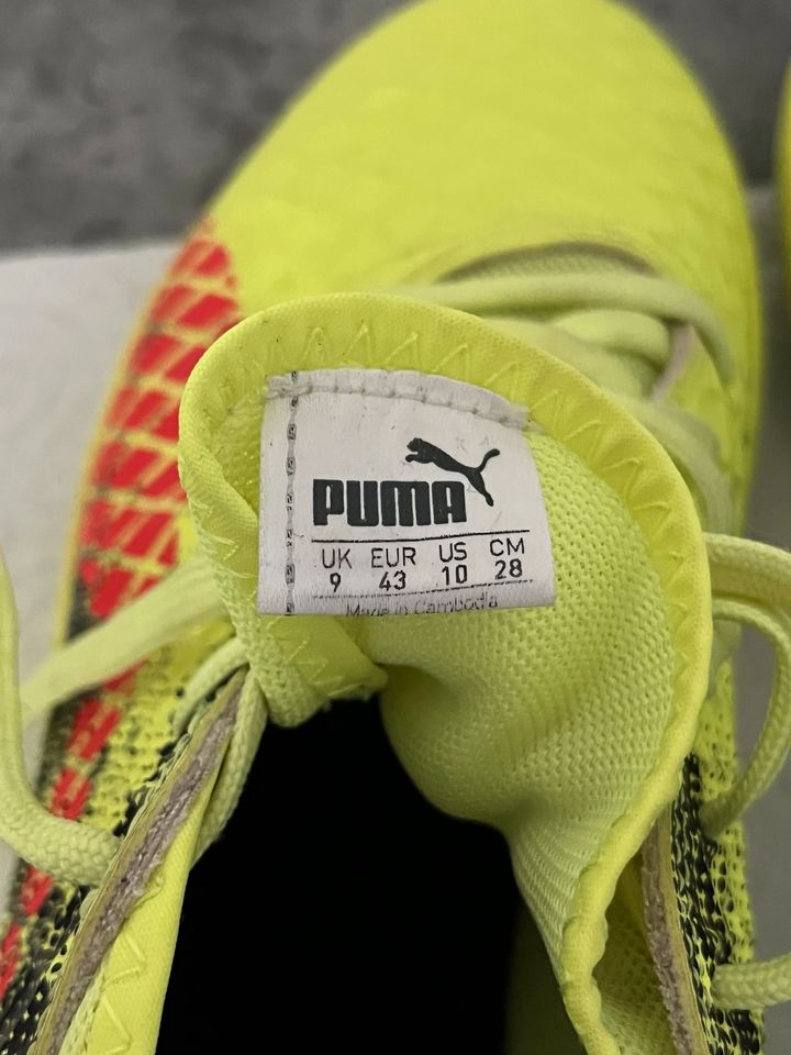 Puma Turnschuhe Halle Herren Größe 43 Herren Hallenschuhe grün in Neuzelle