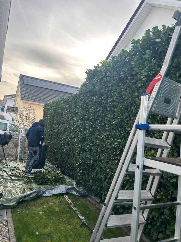 Vermietung Gerüst, Bau-Gartenhelfer uvm. weitere Dienstleistungen in Pfungstadt