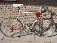 Castelli Rennrad 60cm vintage Niedersachsen - Emsbüren Vorschau