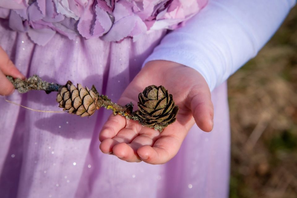 Kindertagespflege Singen Tagesmutter in anderen geeigneten Räumen in Singen