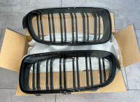 Nieren Grill BMW 3er F30 F31 M NEU Schwarz Hochglanz Kühlergrill Bonn - Plittersdorf Vorschau